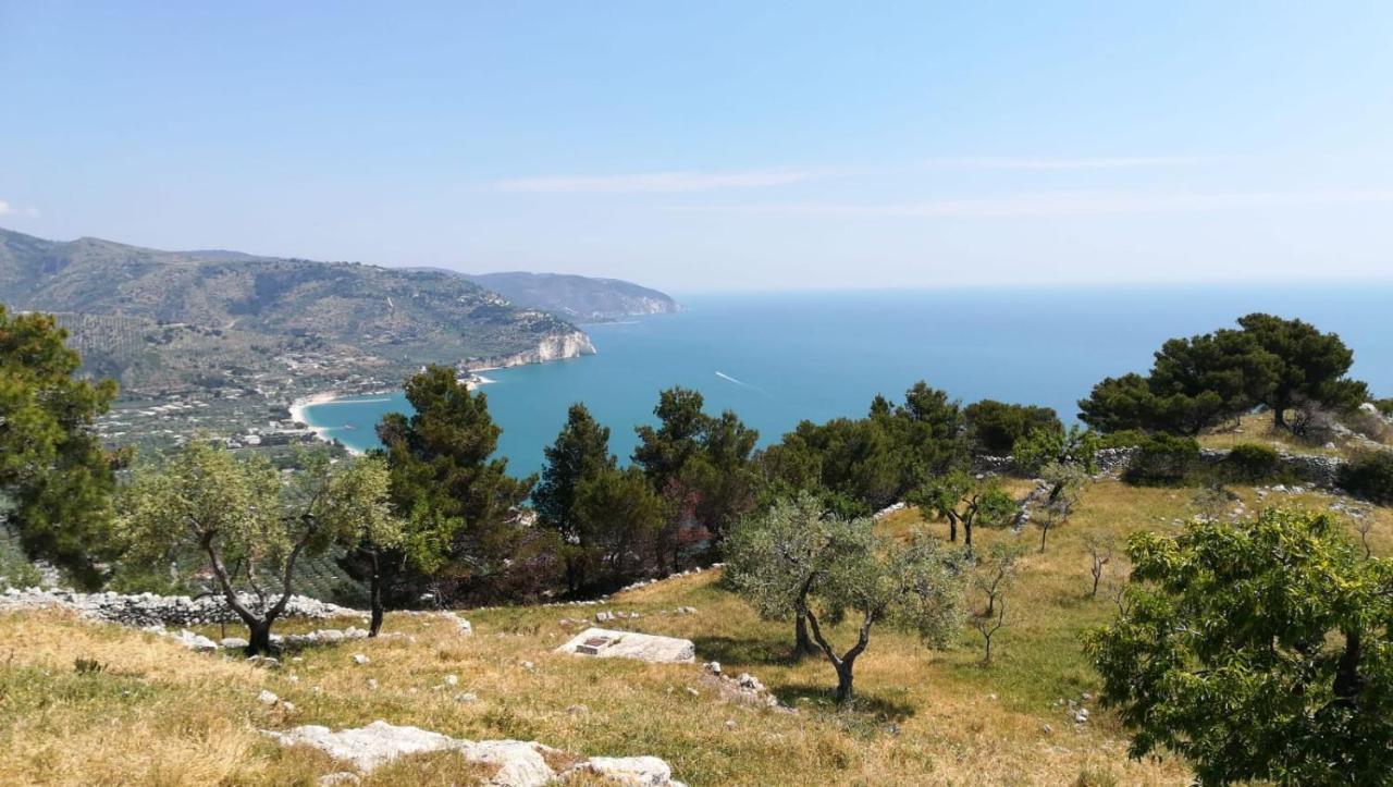 B&B Conca Del Faro Mattinata Εξωτερικό φωτογραφία