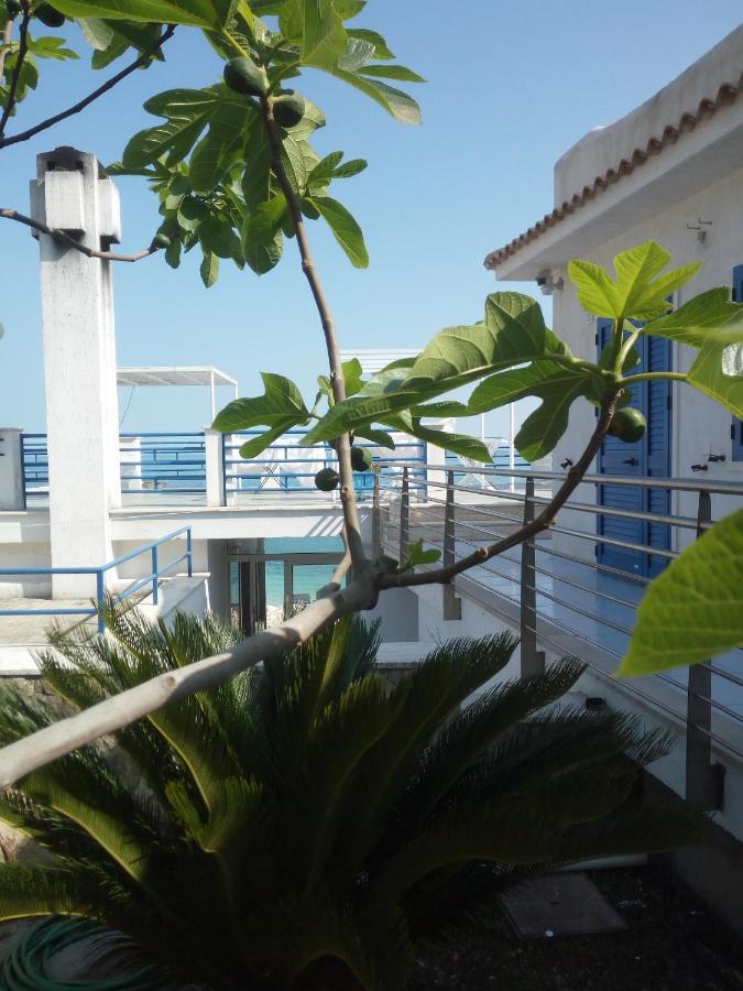 B&B Conca Del Faro Mattinata Εξωτερικό φωτογραφία